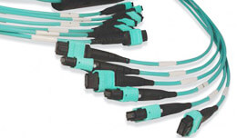mtp custom fiber cables